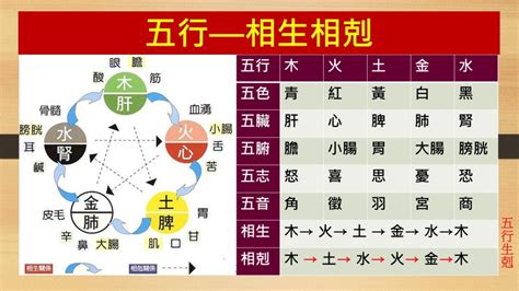 五行相剋表|五行